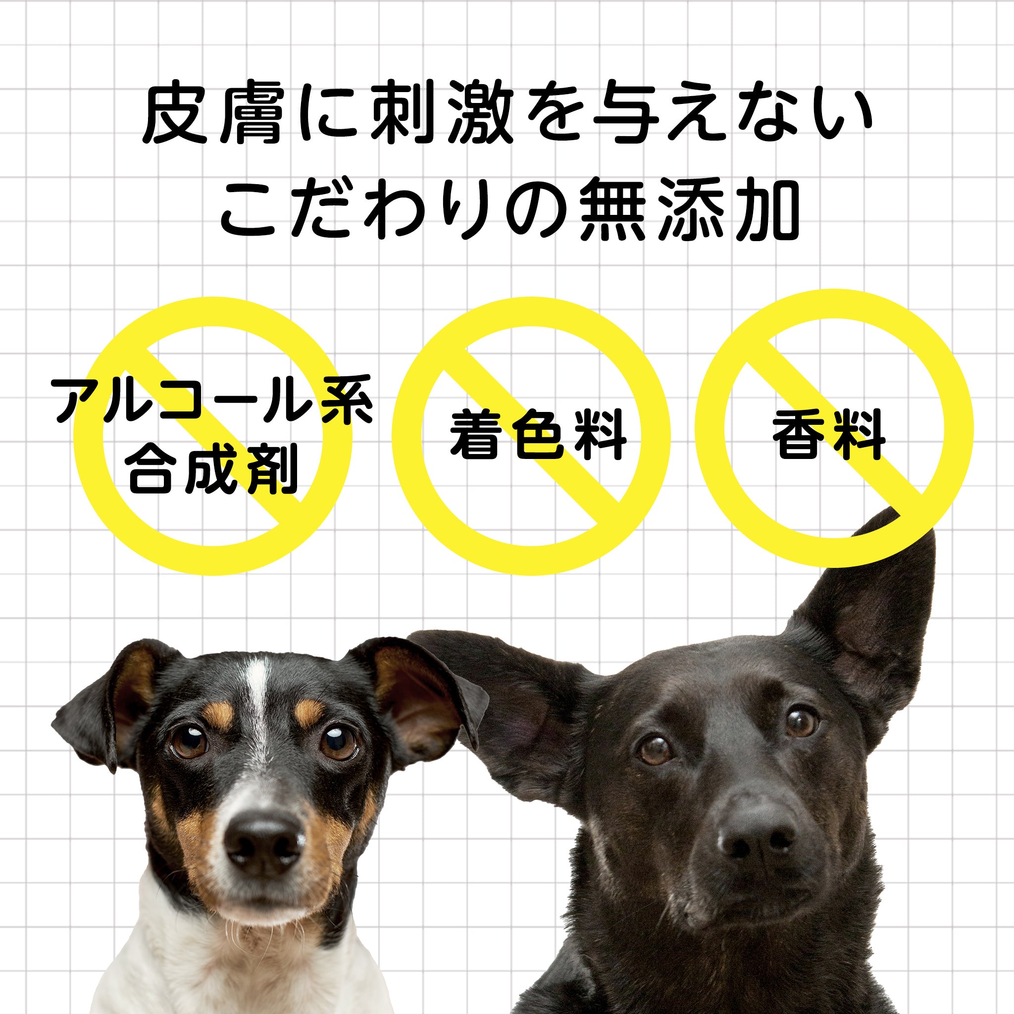 犬 アミノ酸 販売 シャンプー